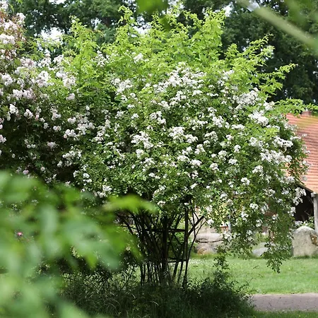 Sophienhof Achternholt Wardenburg
